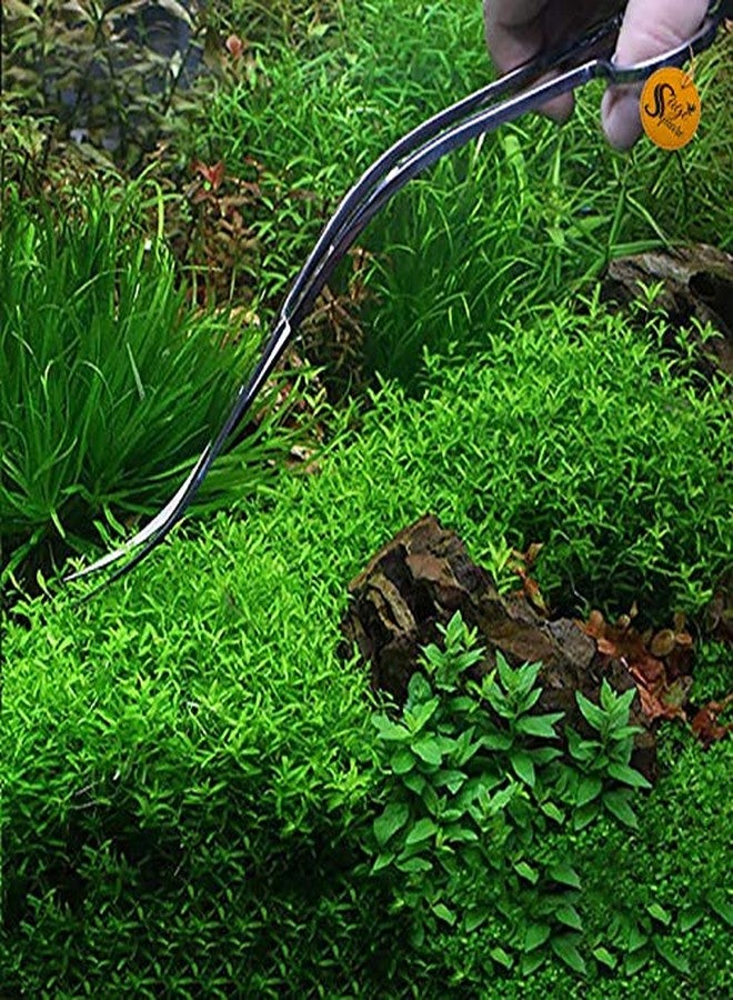 سايج سكوير مقص ملقط حوض السمك Sage Square - أداة ممتازة من الفولاذ المقاوم للصدأ لتنسيق أحواض السمك والعناية بها | مقص Wave Curve، ملقط تنسيق، تقليم النباتات، وضع النباتات المائية - Image 5